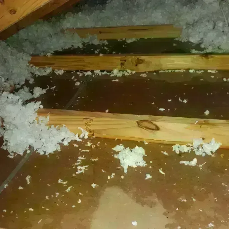 Attic Water Damage in Wolf Lake, MI