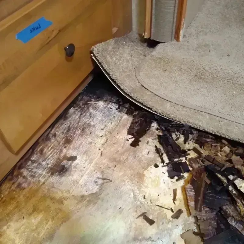 Wood Floor Water Damage in Wolf Lake, MI